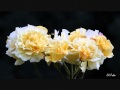 Astor Piazzolla Времена года в Буэнос Айресе 3 Весна 