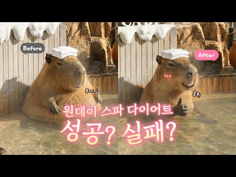 에버랜드 AI 광고 사례