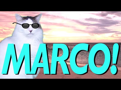 HAPPY BIRTHDAY MARCO! - EPIC CAT Happy Birthday Song