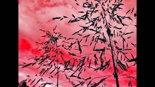 Dave Alvin - "Rio Grande"