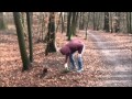 Johann Wolfgang von Goethe - Gefunden ...
