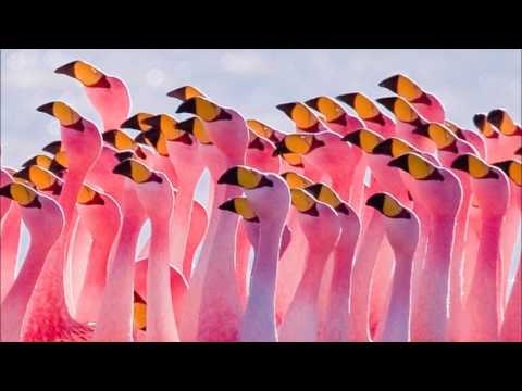 Crown City Rockers - Heroes