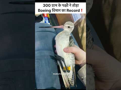 Guinness World Record: Alaska से Australia तक 13,560 KM की Non Stop उड़ान❗️