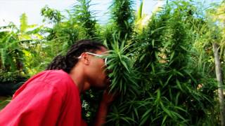 Miky Ft. Nicy - Weed (Mars 2011)