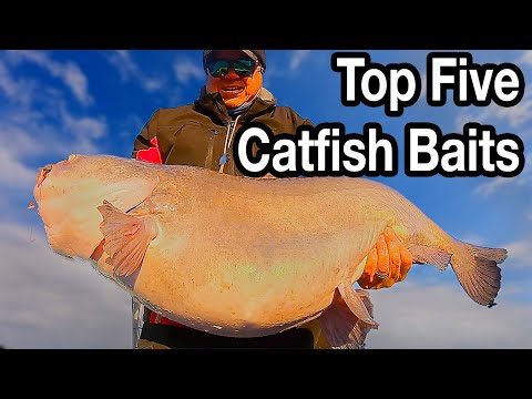 Five Most Popular Catfish Baits