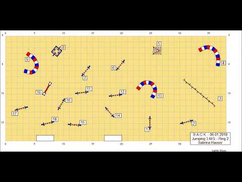 Agility Courses by Sabrina Hauser - 06.01.2018 / Jumping 3