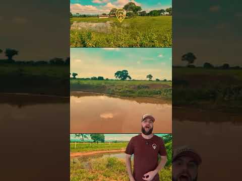 🚜 Fazenda à venda em Vila Boa   GO!