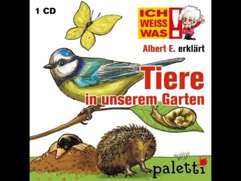 Albert E. erklärt Tiere in unserem Garten