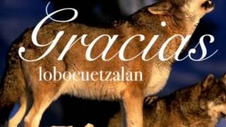 Ya me voy para siempre ( Los Temerarios )