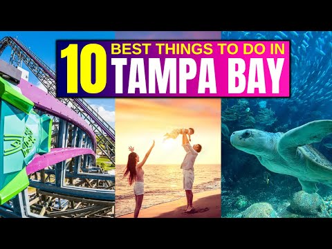 10 BEST Things To Do In Tampa Bay, Florida! (2024)