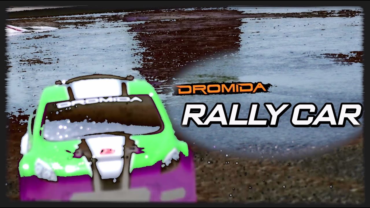 RC auto Rally Car Brushless