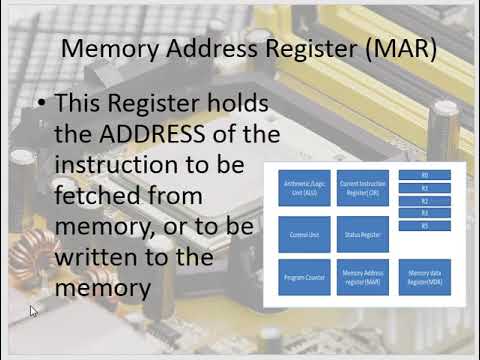 9 components of a CPU | The Components of a Central Processor