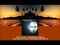 Roger Shah feat. Nuera - Guess (Album Mix ...