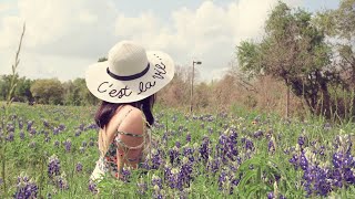 Có một loài hoa mang tên Mũ Len Xanh (Bluebonnets)/ Texas State Flower