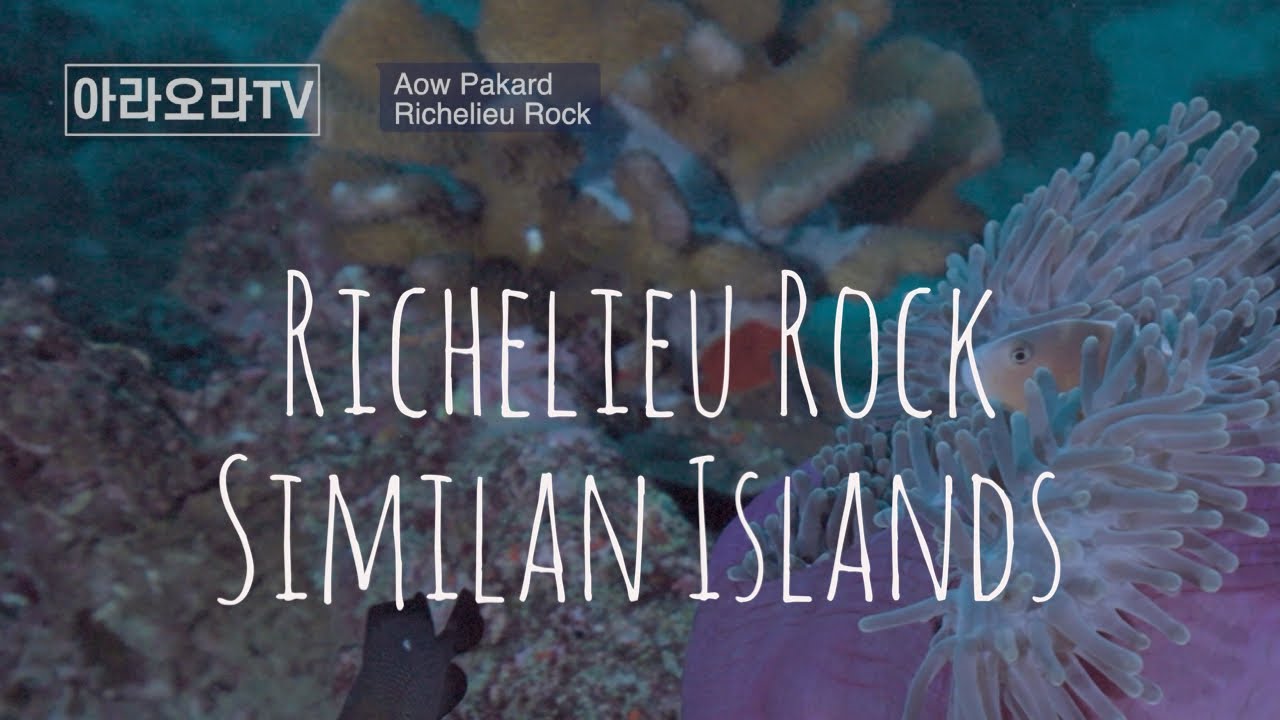 Aow Pakkard and Richelieu Rock, Thailand