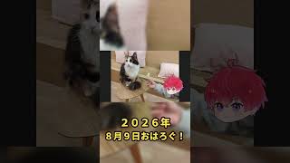 週末は少し力を抜いていい｜8月9日のおはろぐ