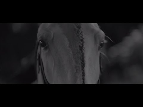 Smolik / Kev Fox - Run (Official Video)