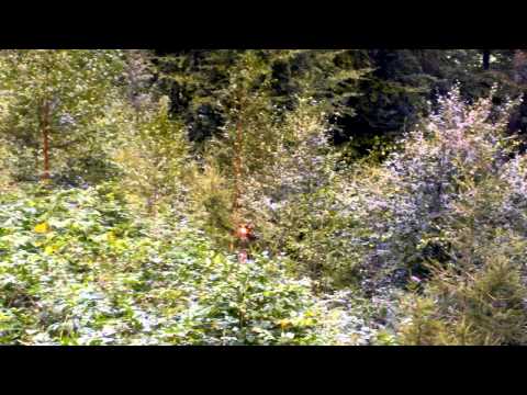 Profilaufnahmen Pizolbahn Bad Ragaz