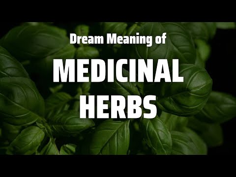 Medicinal Herbs Dream Meaning & Symbolism