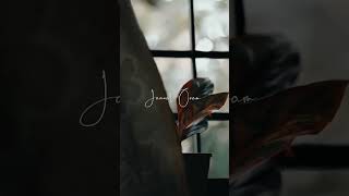 Download lagu Tamil Whatsapp Status | Kannala Kannala | Thani Oruvan | Hip Hop Thamizha | Jayam Ravi mp3