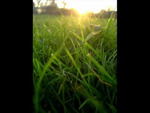 Arssura feat Kitzi - Vise lyric (colaj)