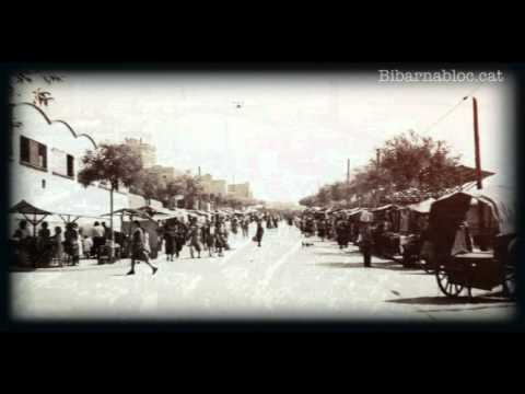 El Bibarnabloc et recomana: El Carrer de les Camèlies