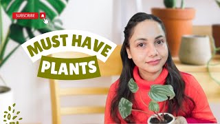 My Favourite House Plants for small spaces that are too good to not have🌸