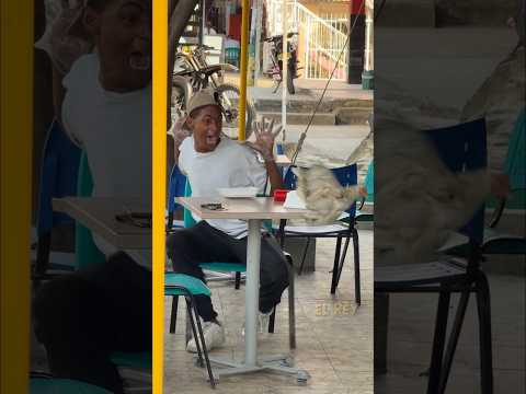 CAMBIO- DE POLLO 🍗 #viral