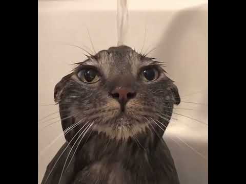 Travis Scott-90210 sped up perfectly