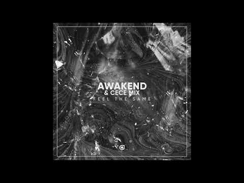 Awakend & CeCe Mix - Feel The Same (Digital Skies Edit)