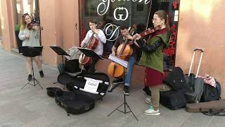 TodioS string quartet street performance