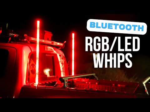 Three-foot Ultra Bright LED Whip from Blue Line Whips