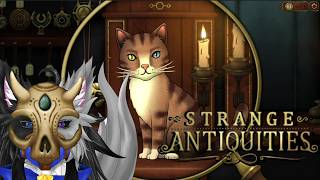 【Strange Antiquities/ガワ付き】※猫は無事です【人外夫婦】