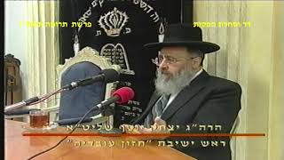 מרן רבנו עובדיה יוסף זצוק"ל זיע"א פרשת תרומה תשס"ז הלכות פרשת זכור ופורים מרן הרב יצחק יוסף שליט"א  (דר וסוחרת - הלוויין של מרן) - התמונה מוצגת ישירות מתוך אתר האינטרנט יוטיוב. זכויות היוצרים בתמונה שייכות ליוצרה. קישור קרדיט למקור התוכן נמצא בתוך דף הסרטון