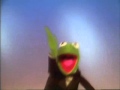 Muppets Kermit Happy Feet