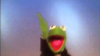 Muppets - Kermit - Happy feet