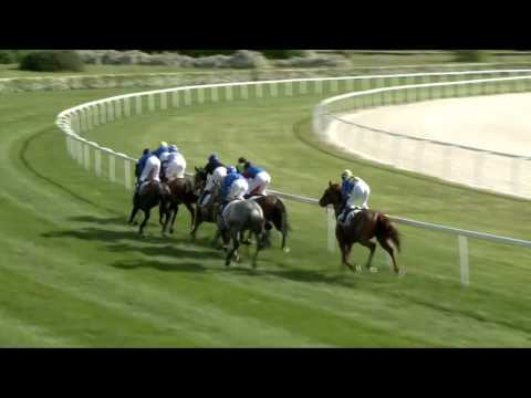 2017.05.07. 5. futam - BÁBOLNAI DÍJ (Elit kat.)