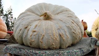 World’s Largest Chunk? | Punkin Chunkin: SuperChunk!