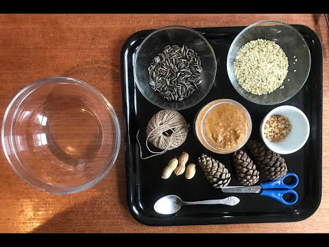 Help de vogels de winter door! Dennenappels met pindakaas