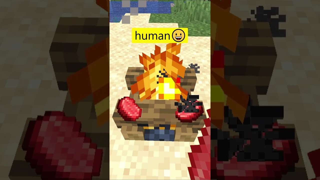 Human😀vs Herobrine💀0845 #minecraft #Herobrine #shorts #herobrine
