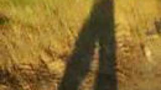 Team Sleep - Death by Plane