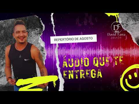 ÁUDIO QUE TE ENTREGA (FEAT DAVID FARRA MARI FERNANDES