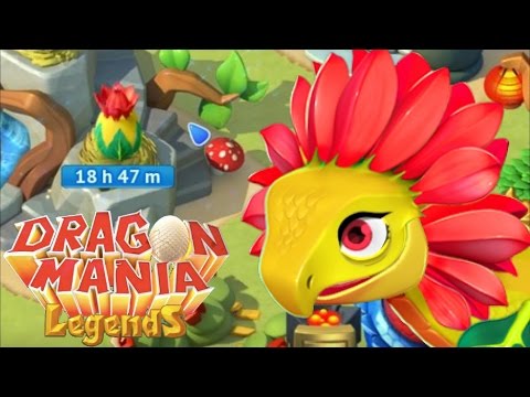 REDFLOWER Dragon Breeding + Clan Quests! - Dragon Mania Legends #499