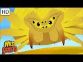 Bugs Spiders Worms Butterflies More Full Episodes Wild Kratts