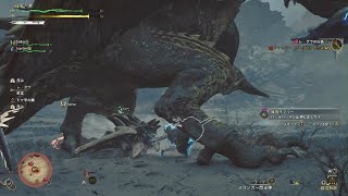 [奇跡]レ·ダウ　剥ぎ取りMonster Hunter Wilds