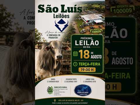 São Luis de Montes Belos - GO   18/08/2026