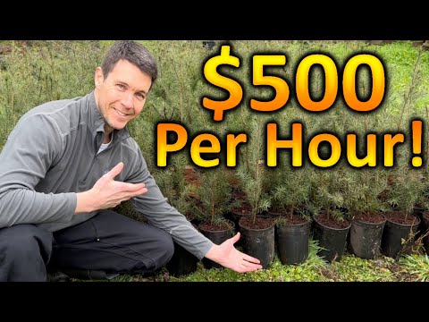 YouTube video about: How to make money gardening?
