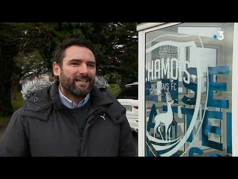 Chamois niortais : démissions en série au conseil de surveillance du club