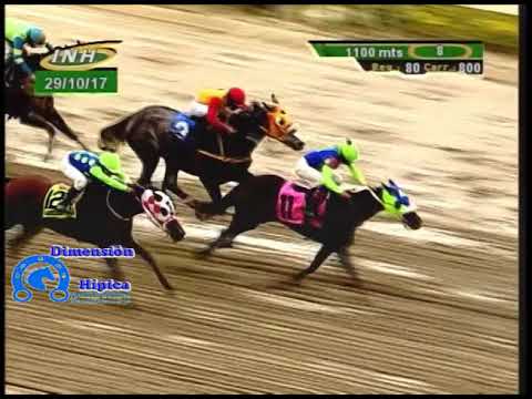 Resumen carreras La Rinconada Domingo 29-10-2017