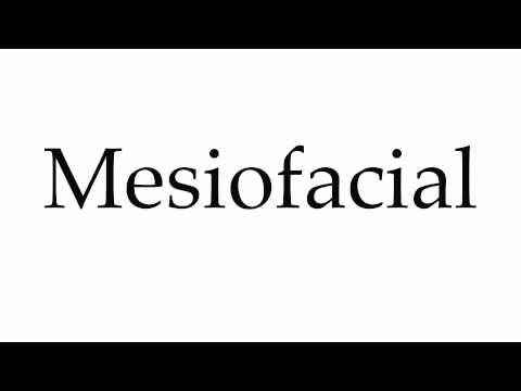 How to Pronounce Mesiofacial